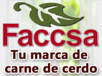 Faccsa