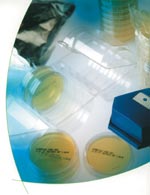 <b>Biomérieux Industry</b> presenta su gama completa de placas Count-Tact de 65 mm para el control de higiene en mataderos. 