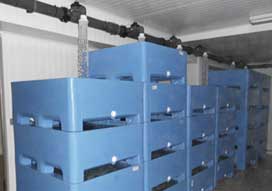 La empresa gallega <b>Rotogal</b>, dedicada a la fabricación de contenedores de gran resistencia fabricados en doble pared, presentó su <i>contenedor de 800 litros de capacidad</i>.
